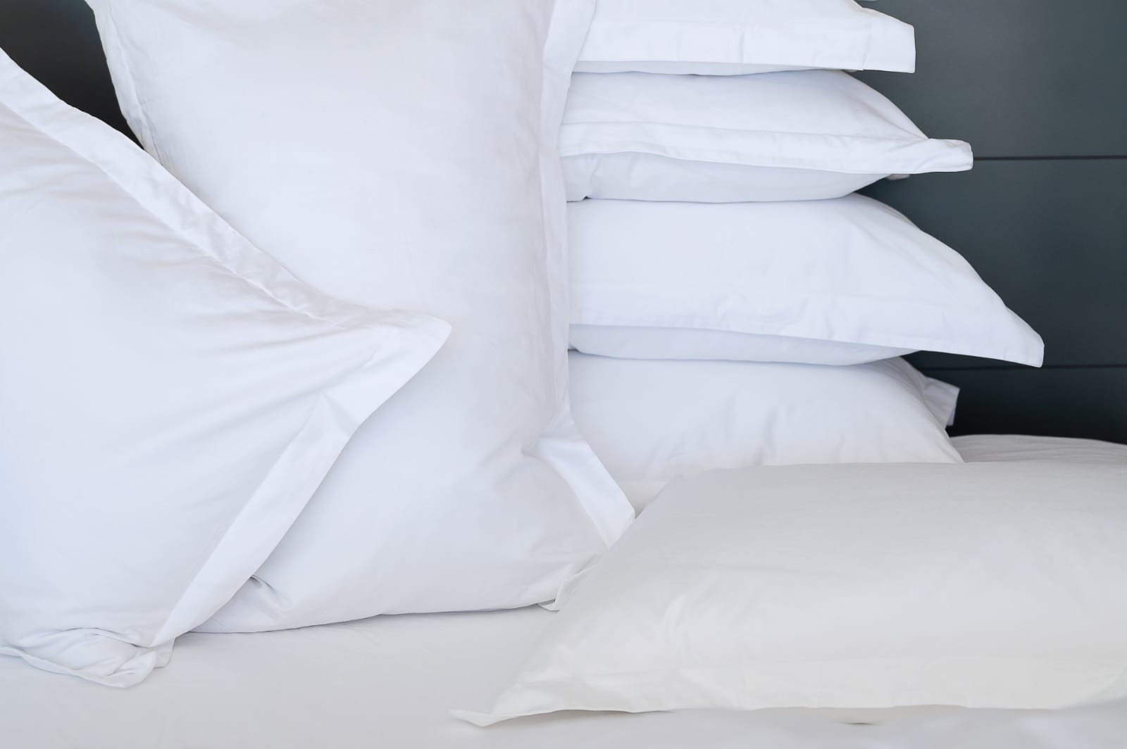 Goose Down 3-Chamber Pillow